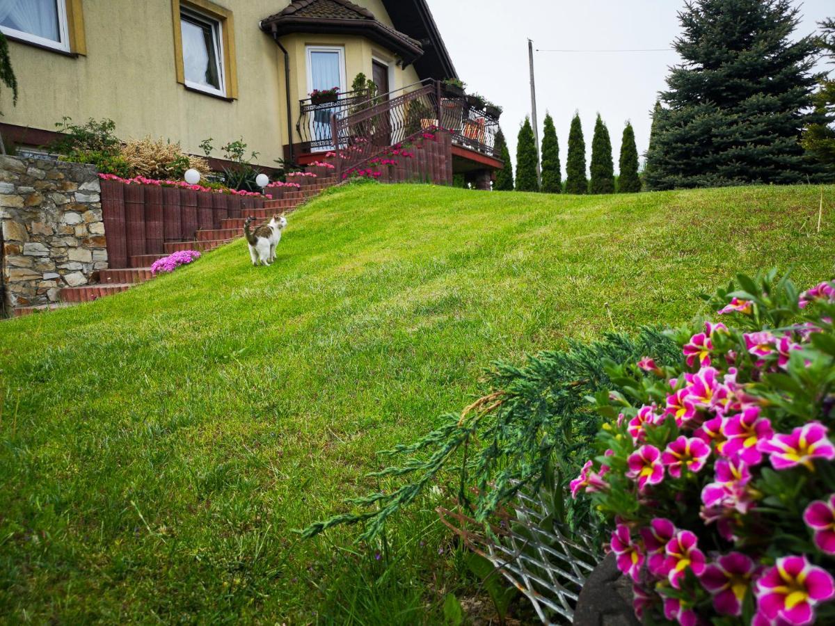 Swierkowy Zakatek Gorno  ภายนอก รูปภาพ